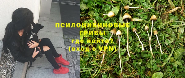 герыч Белая Холуница