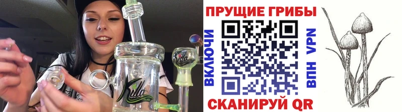 Галлюциногенные грибы Magic Shrooms  что такое наркотик  Электроугли 